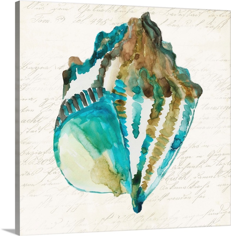 Shell Wall Art, Canvas Prints, Framed Prints, Wall Peels Great Big Canvas