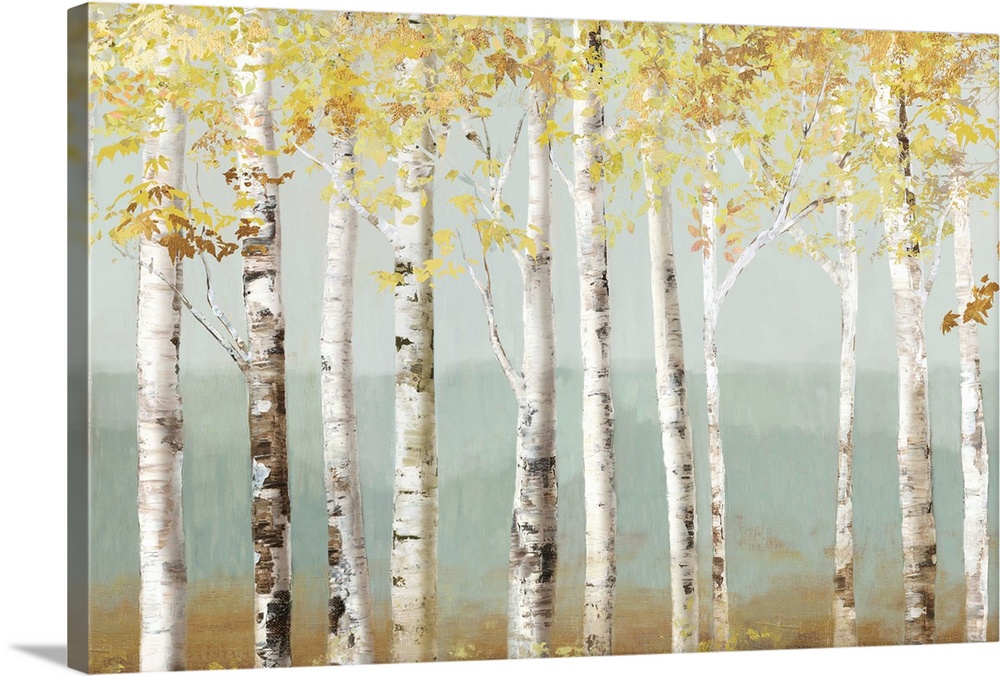 Contemporary painting of a white birch forest with golden leaves.