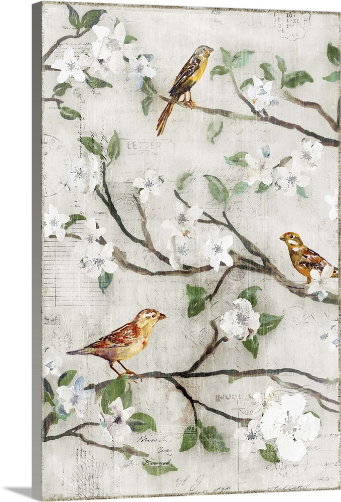Three small birds perched on branches with white blossoms.