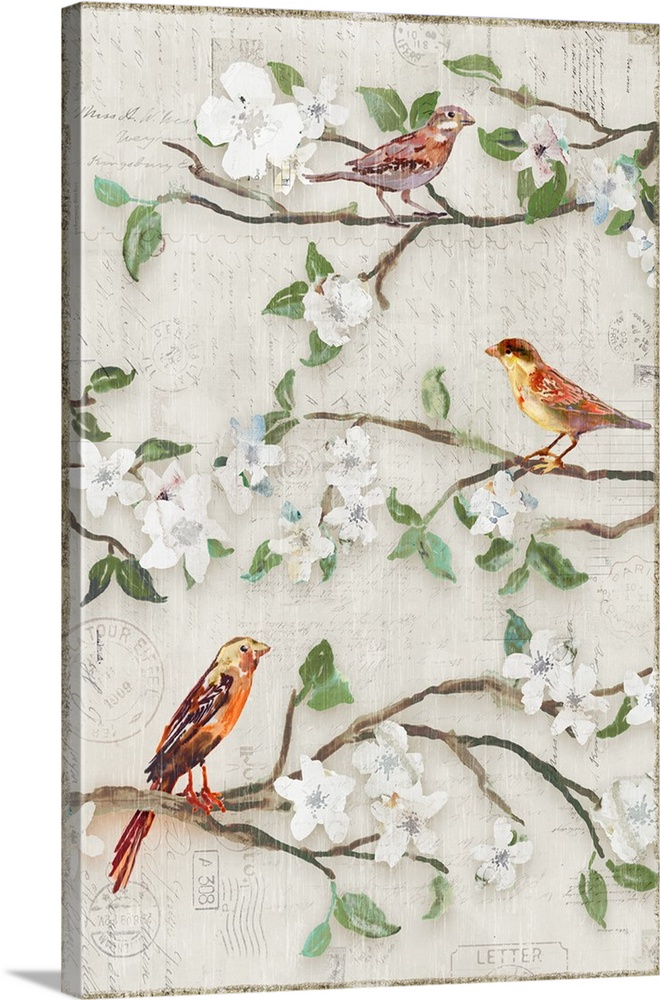 Three small birds perched on branches with white blossoms.