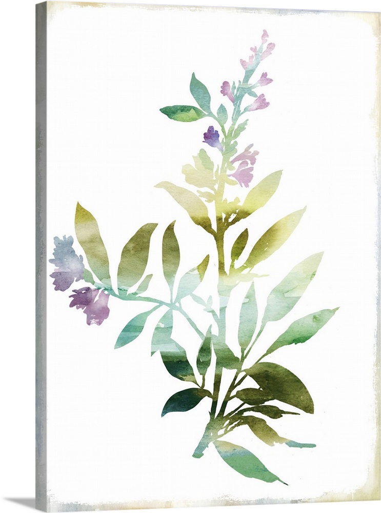 Outline of a small arrangement of flowers in pastel watercolors.