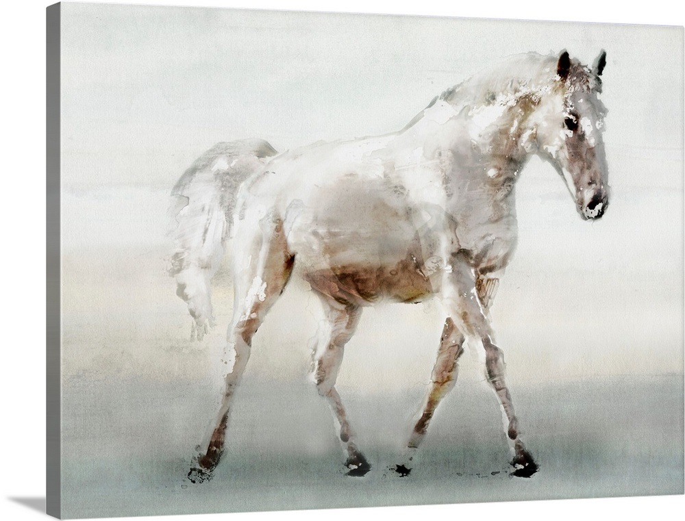 White Horse Wall Art, Canvas Prints, Framed Prints, Wall Peels Great