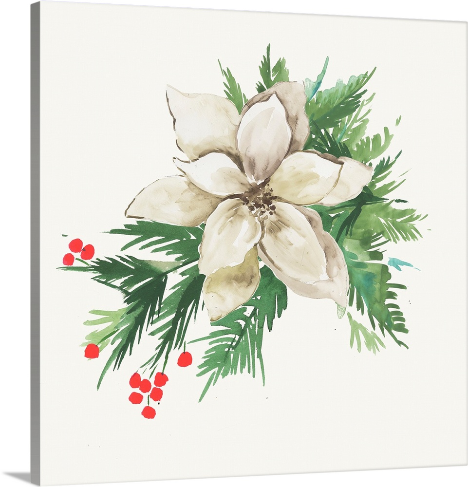 White Poinsettia