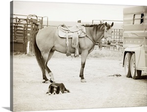 Banished image thumbnail