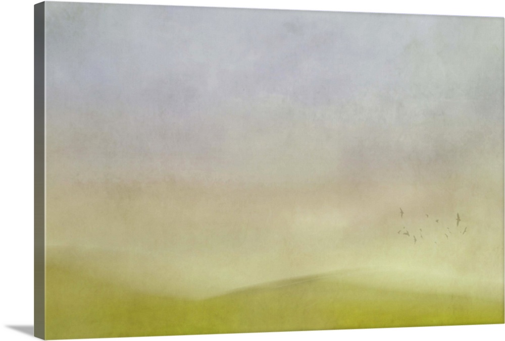 Painterly abstract blur of green hills, a flock of birds, and a cloudy sky.