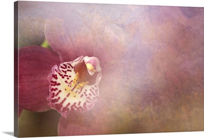 Orchid Fog