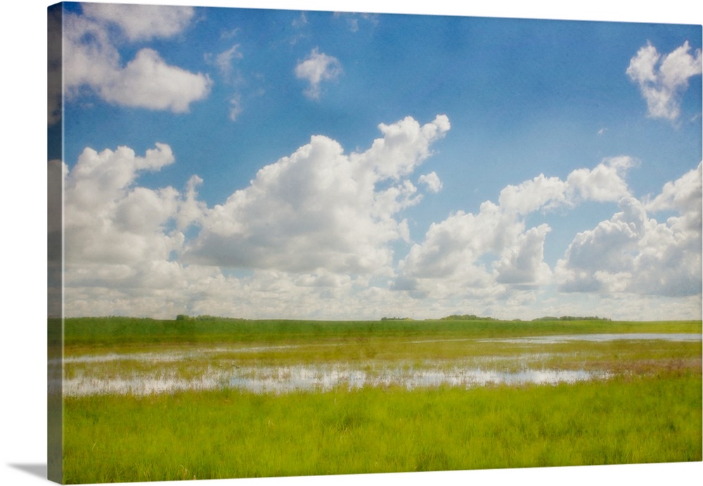 A photo of blue sky with white fluffy clouds over a grassy marshy field.