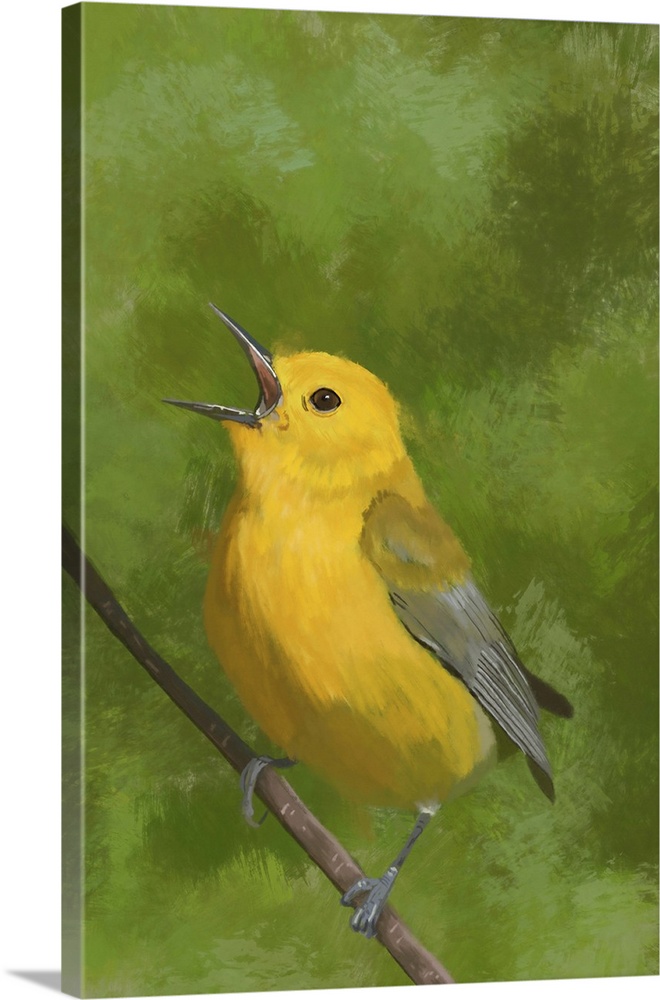 Digital painting of a Prothonotary Warbler. Alberta, Canada.