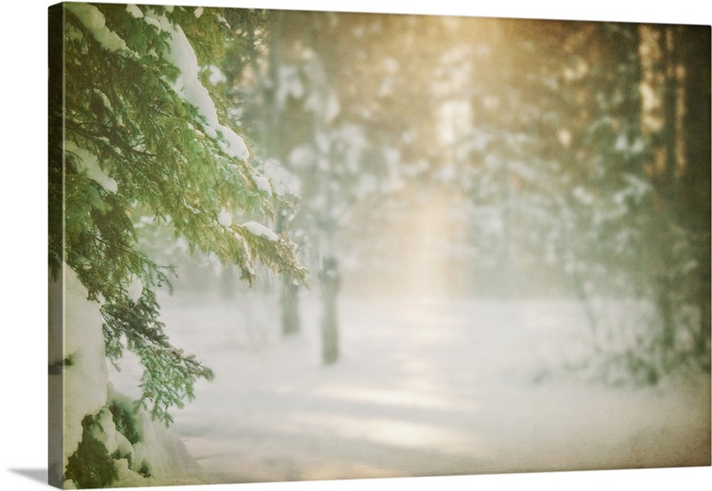 Winter | Great Big Canvas