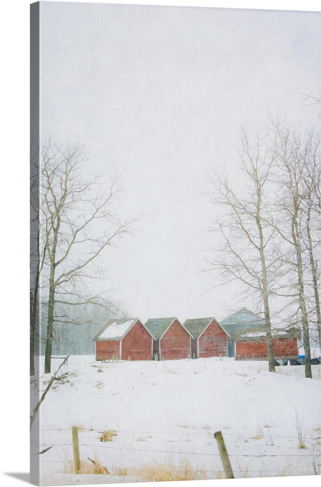 Pictorialist photo of red granaries on the prairie in winter.