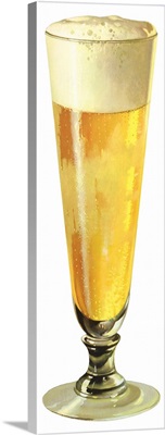 Beer in Pilsner Glass