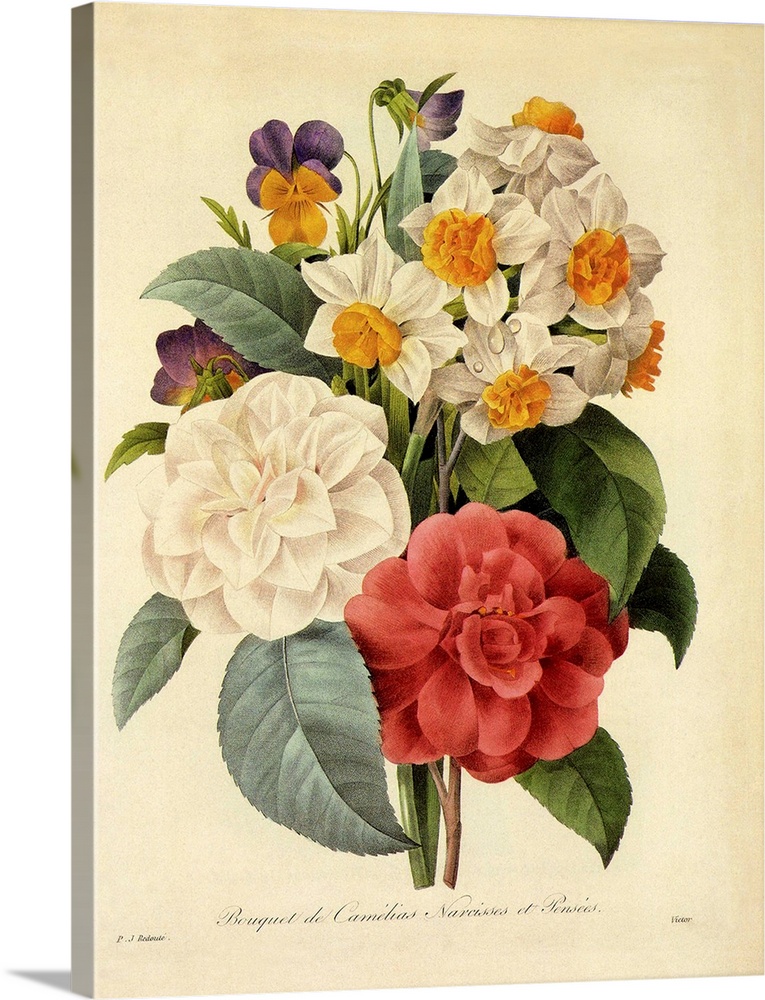 Camellias, Narcissus and Pansies