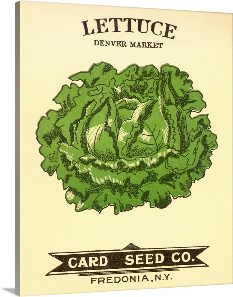 Lettuce Seed Packet Wall Art, Canvas Prints, Framed Prints, Wall Peels