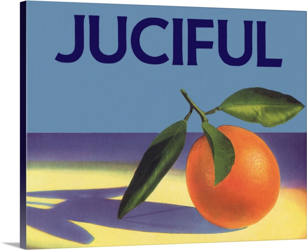 Orange in Spotlight Wall Art, Canvas Prints, Framed Prints, Wall Peels