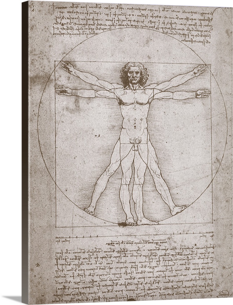 Proportions of the Human Figure According to Vitruvius