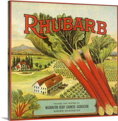 Rhubarb Fruit Label