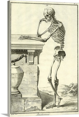 Skeleton Leans on Wall