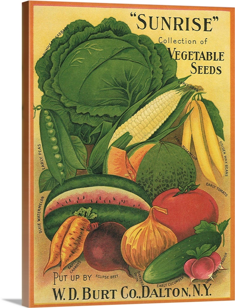 Vegetables Wall Art, Canvas Prints, Framed Prints, Wall Peels Great