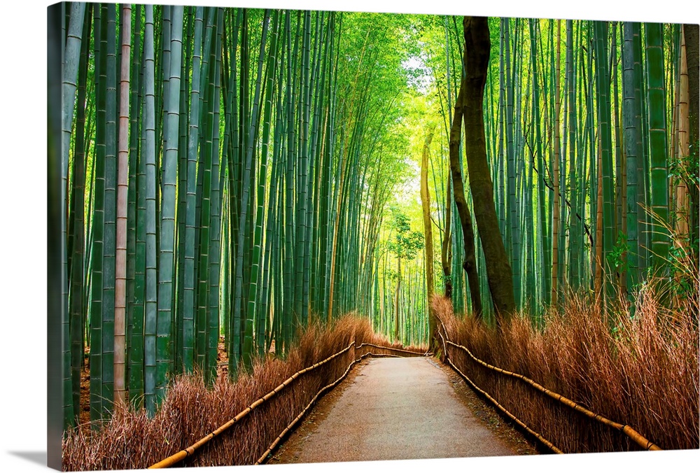 Bamboo Forest kimono Kyoto Japan Canvas Poster Print Wall Deco Picture AE347