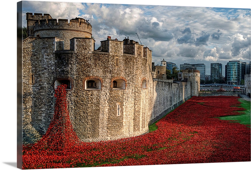 A sea of red ceramic poppies planted around the Tower of London in honor of the lives lost.