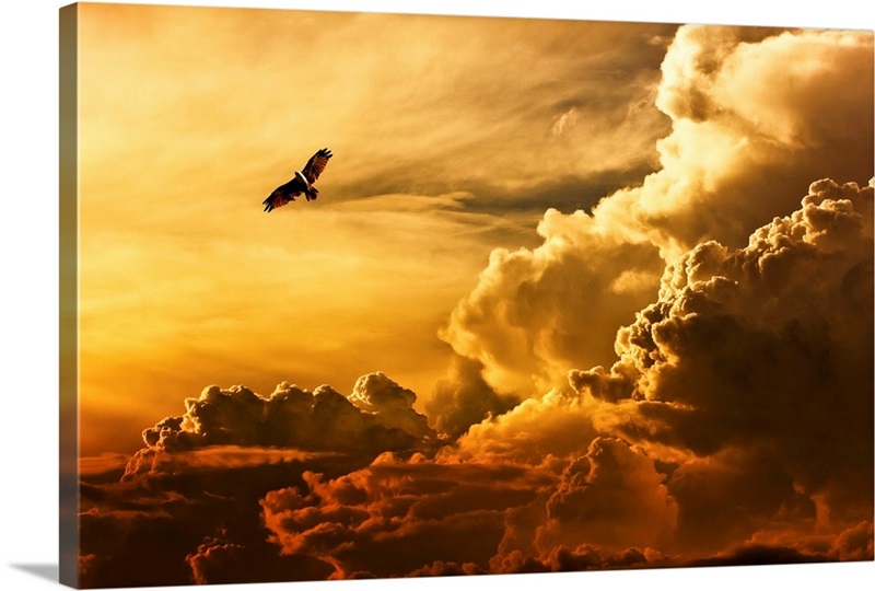 Freedom Wall Art, Canvas Prints, Framed Prints, Wall Peels Great Big