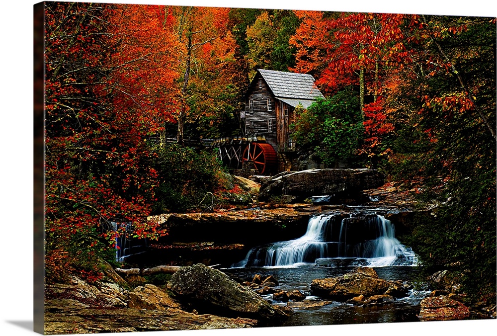 Water Mill and Vines Landscape Art Print Poster 16x20 