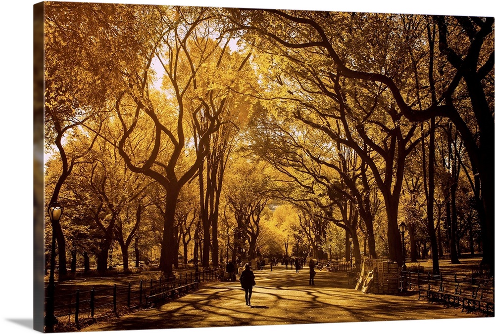 People walking through Central Park under the trees in the fall.