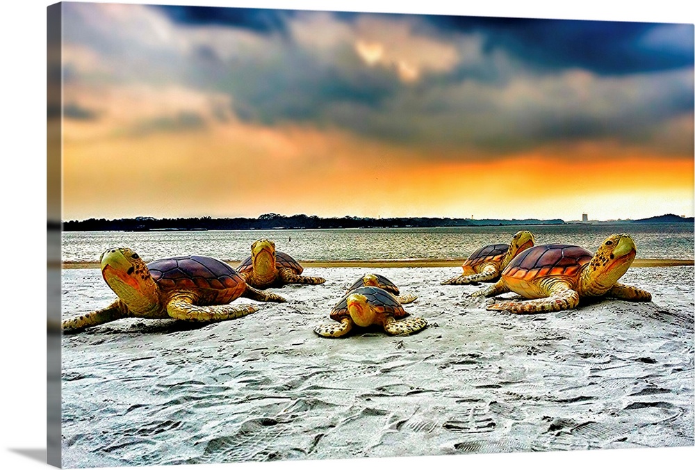 Several small sea turtles on the sandy beach.
