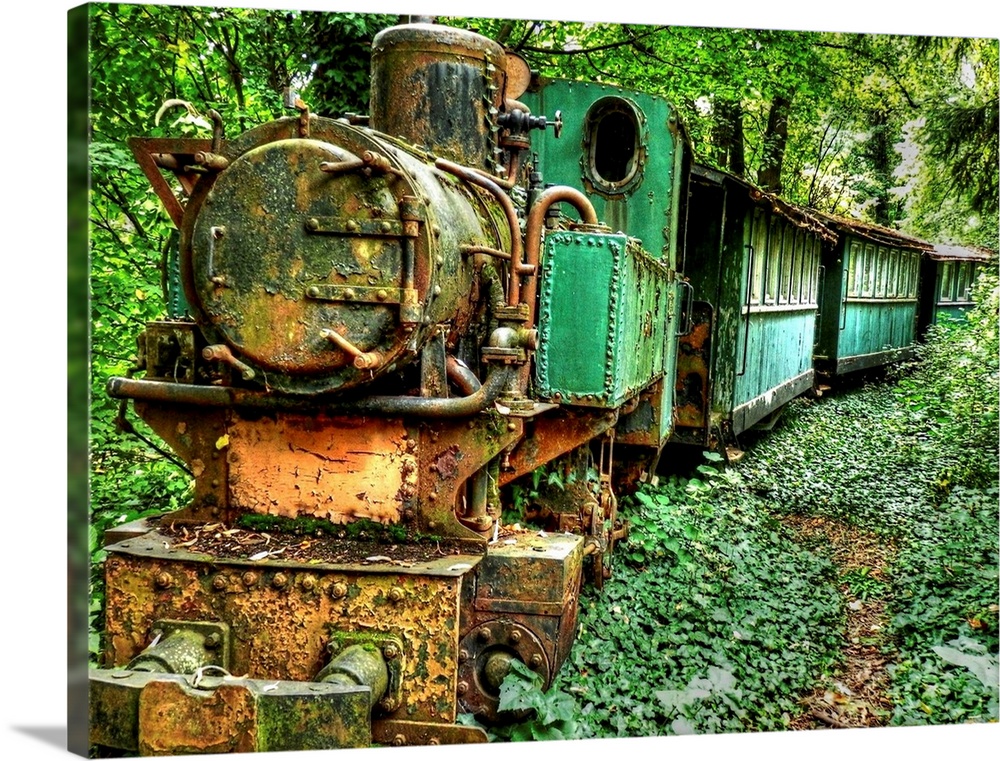 An old, rusted green train in a forest in Baranja, Croatia.