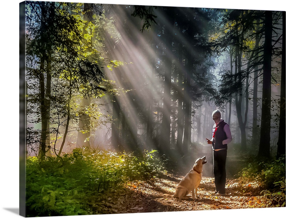 A person and their dog standing in the sunlight in a forest.