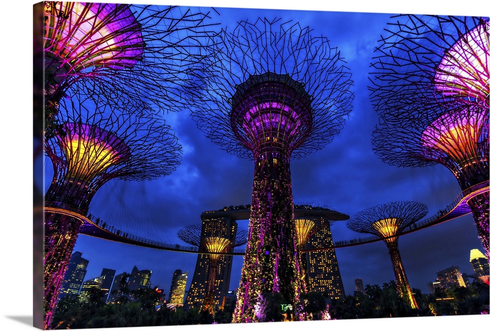 Photograph looking up at neon lit tree structures in Singapore.