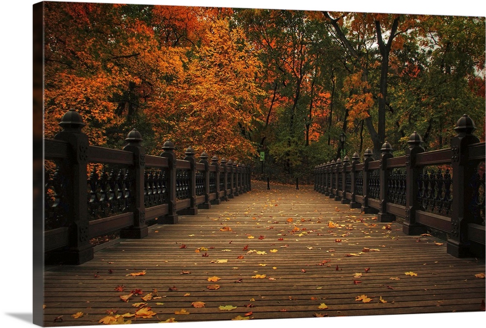 Oak Bridge, Bank Rock Bay, Central Park.
