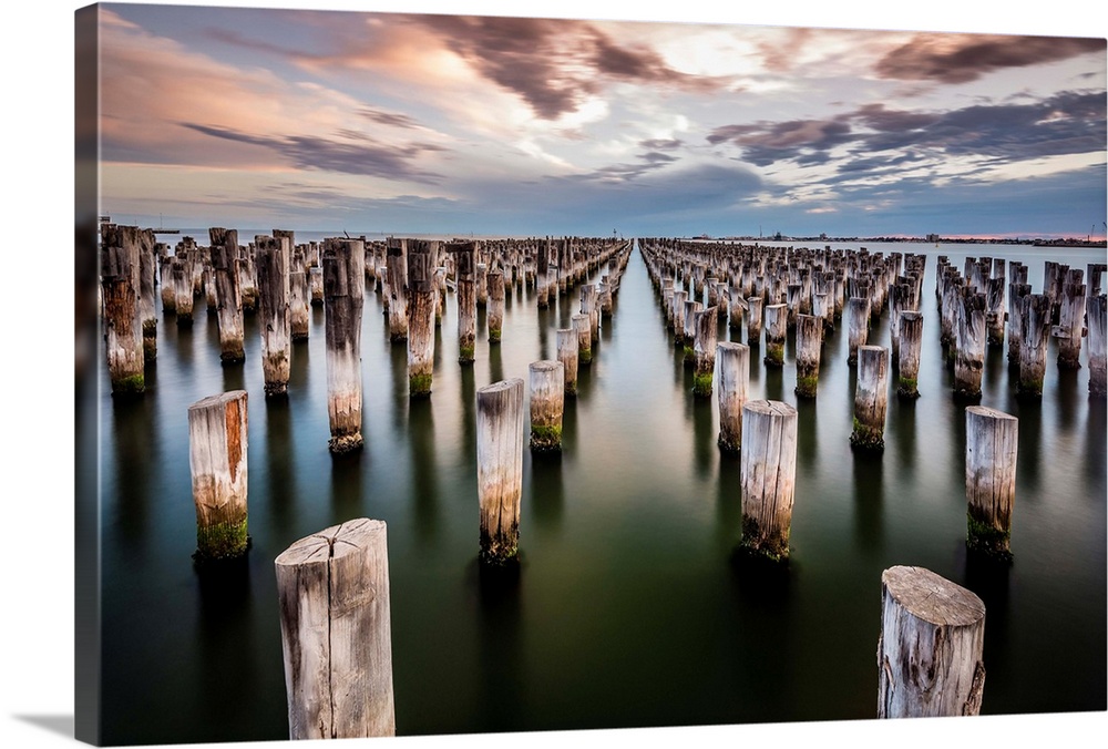 Weathered old wooden posts in the sea at twilight, Port Melbourne, Australia.