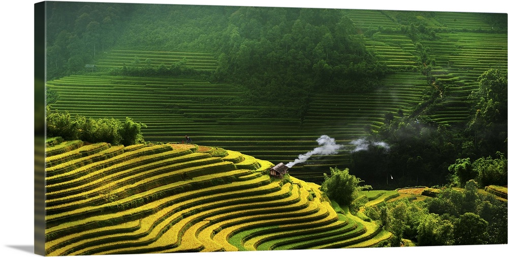 Vietnamese rice terrace fields.
