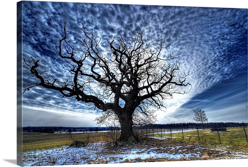 Rising | Great Big Canvas