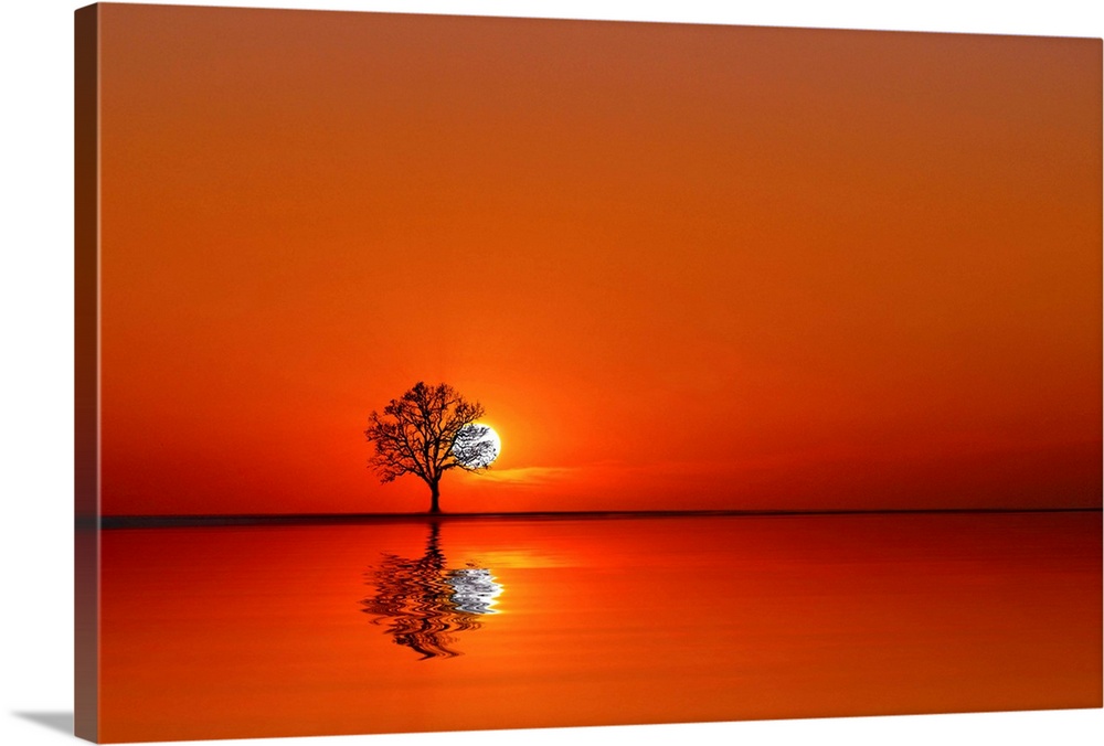 A single tree on the horizon partially obscuring the sun, mirrored in the lake.