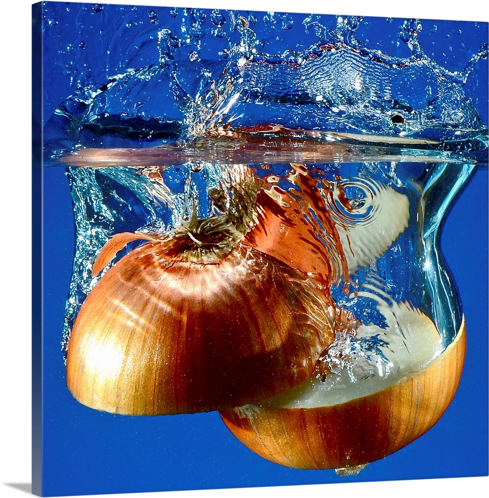 Splashy Onions