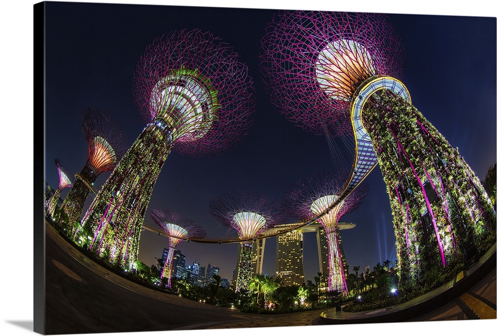 Dynamic photograph of giant neon lit tree structures in Singapore.