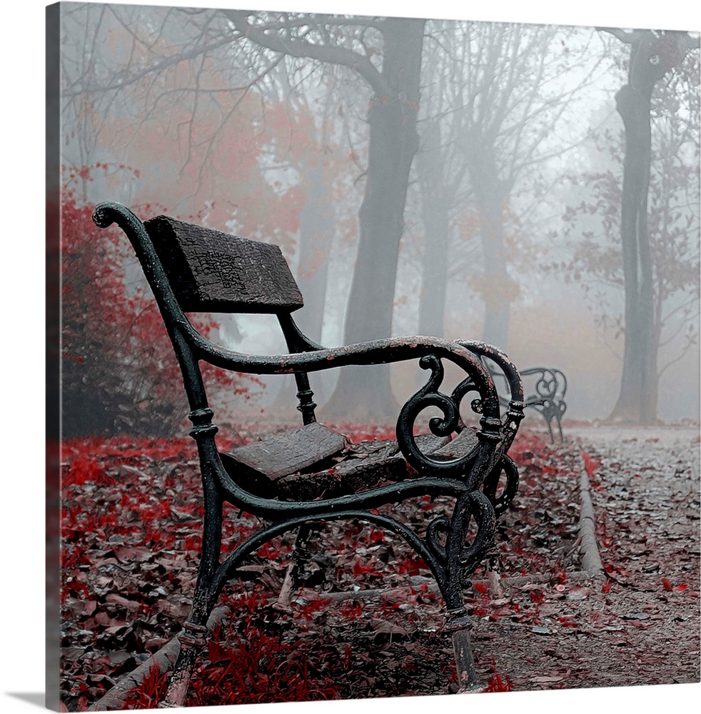 A black metal bench in a foggy park, with red autumn leaves surrounding it.