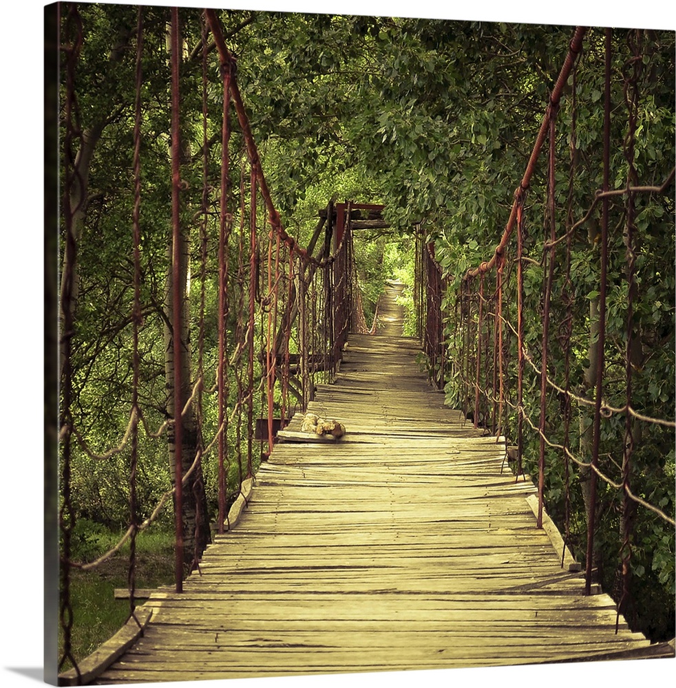 A wooden footbridge in a verdant forest.