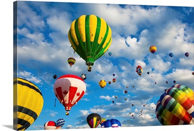 Vibrant Hot Air Balloons