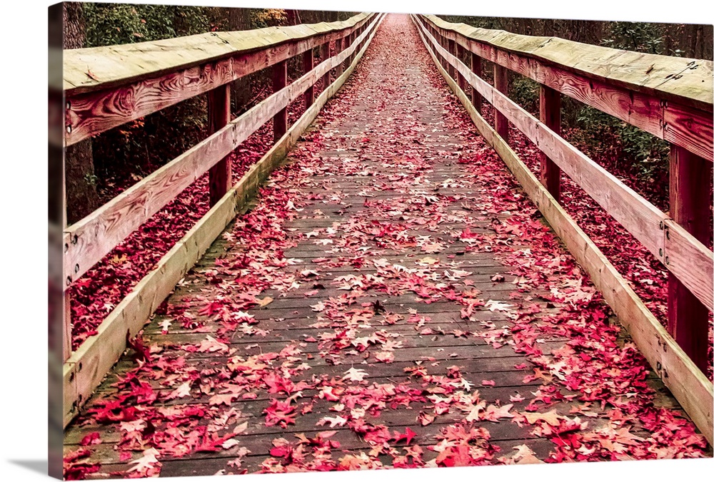 A wooden walkway covered with red fallen leaves.