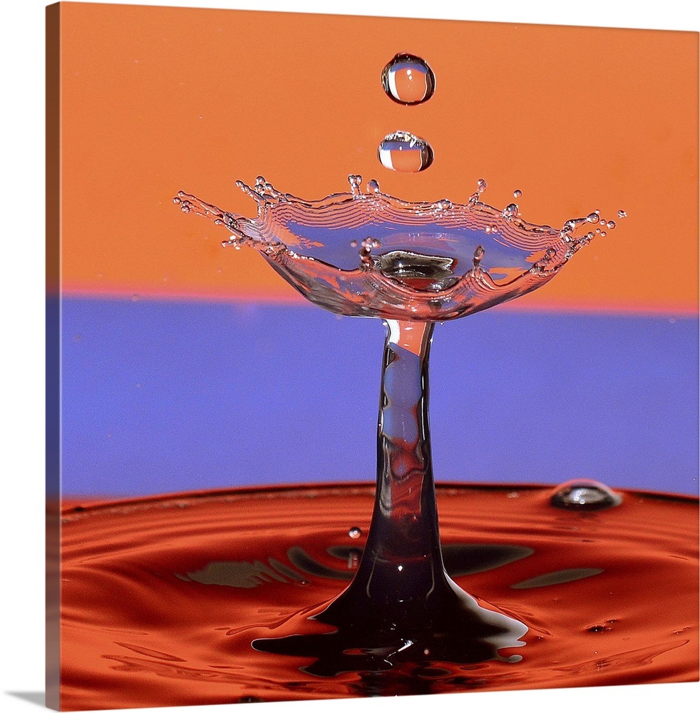 Water Drops Wall Art, Canvas Prints, Framed Prints, Wall Peels Great