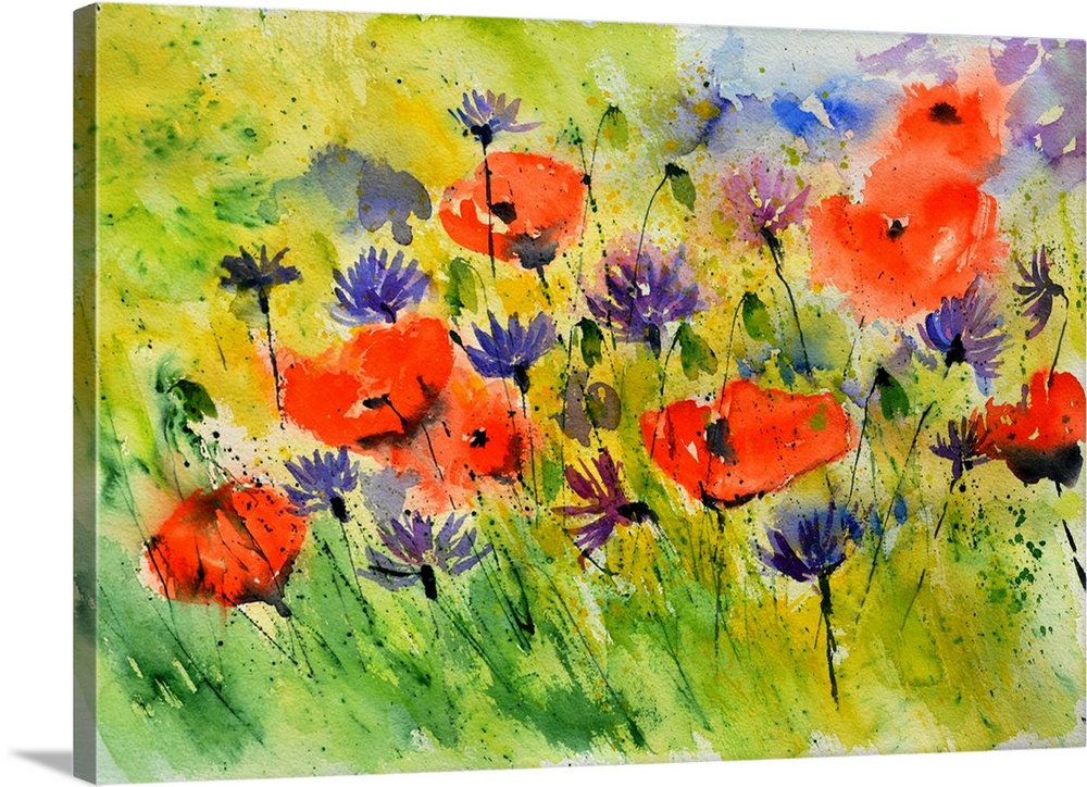 Horizontal watercolor painting of bright red poppies and purple flowers in a field.