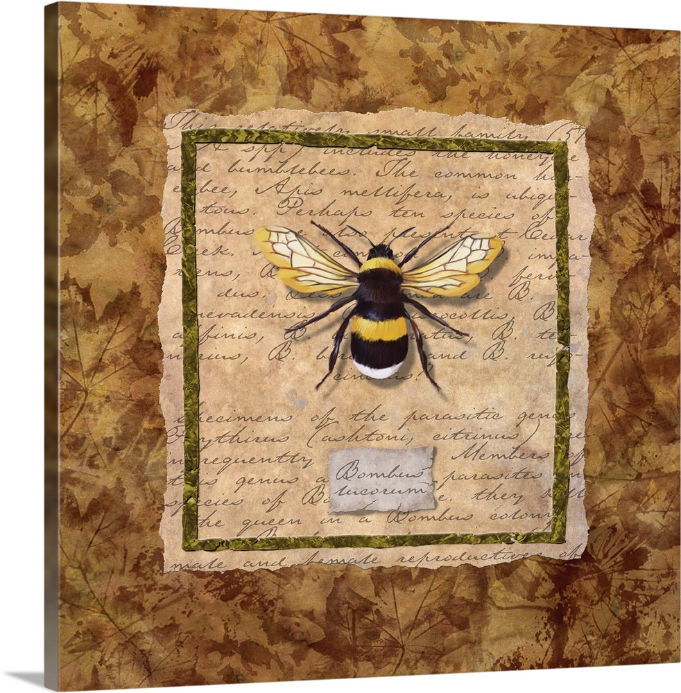 https://static.greatbigcanvas.com/images/singlecanvas_thick_none/porterfields-fine-art-licensing/bumblebee,2256952.jpg