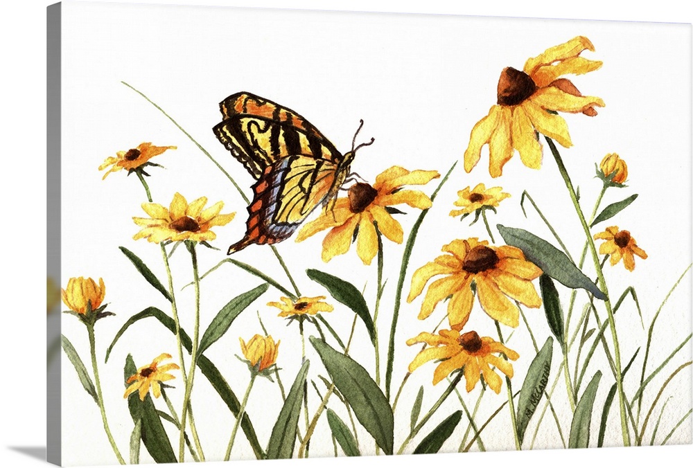Butterfly And Black Eyed Susans