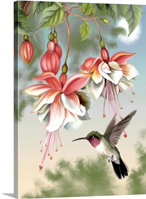 Fuchsia and Hummingbird