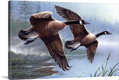 Geese On The Wing