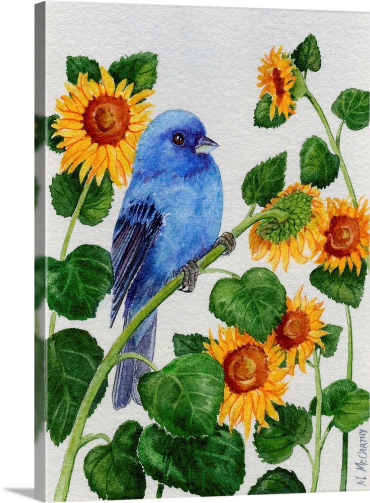 Indigo Bunting and Sunflower Wall Art, Canvas Prints, Framed Prints
