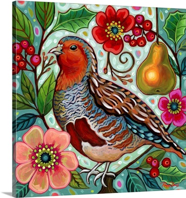 Partridge In A Pear Tree 1